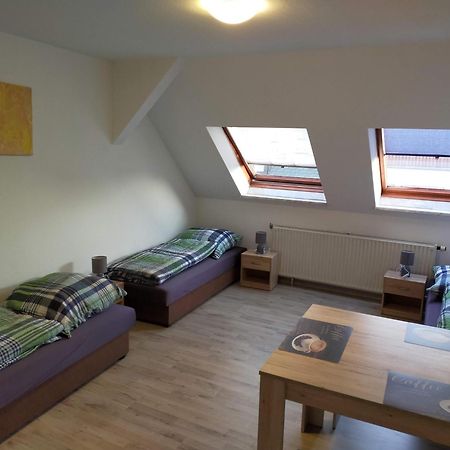 Flex Aparts - Grosse, Moeblierte Wohnung In Zwickau Mit 2 Zimmern Luaran gambar